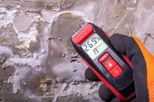 Best Emergency Mold Removal  in Pennington Gap, VA